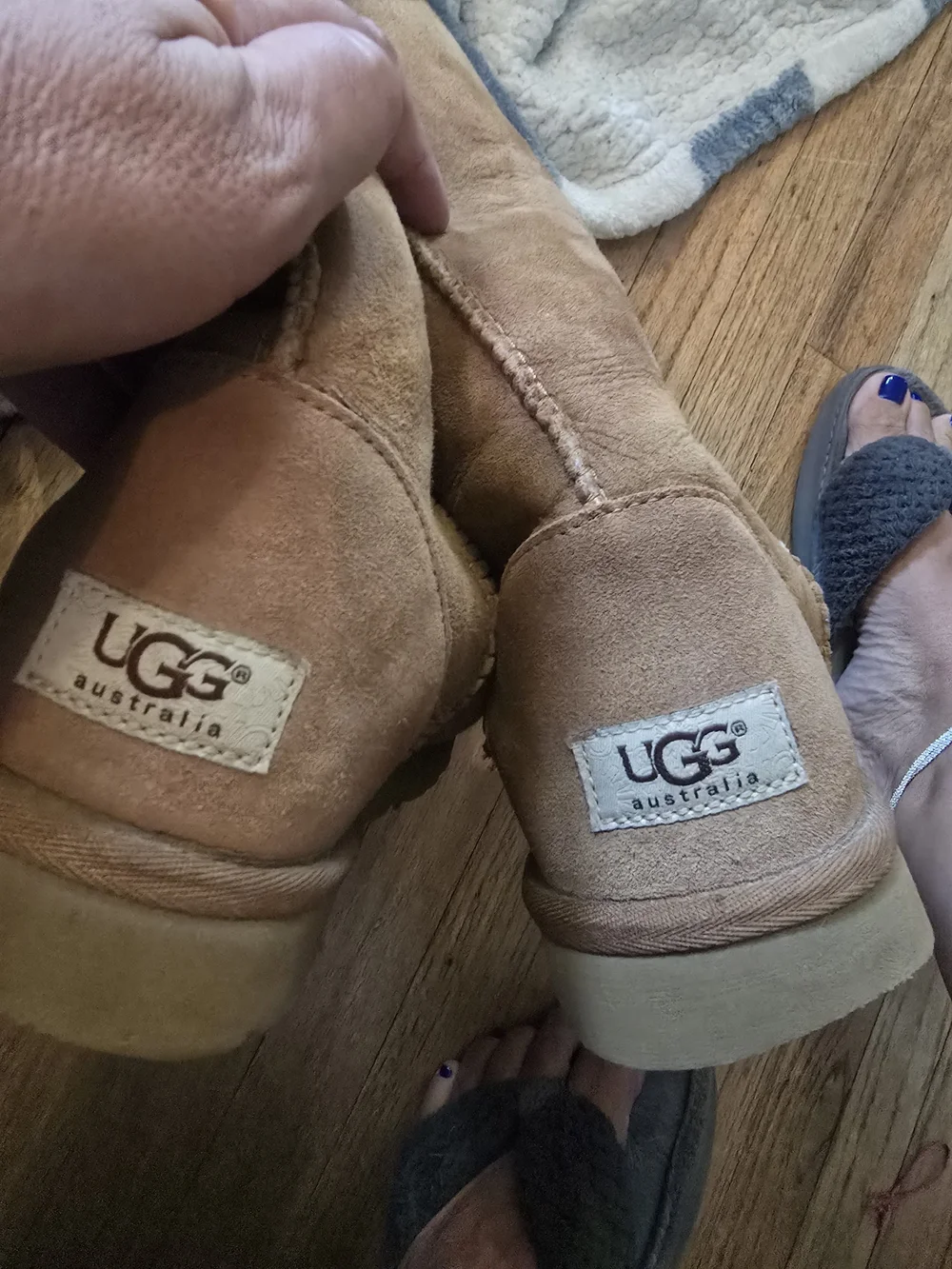 UGG Chestnut Suede Ankle Boots with Shearling Trim